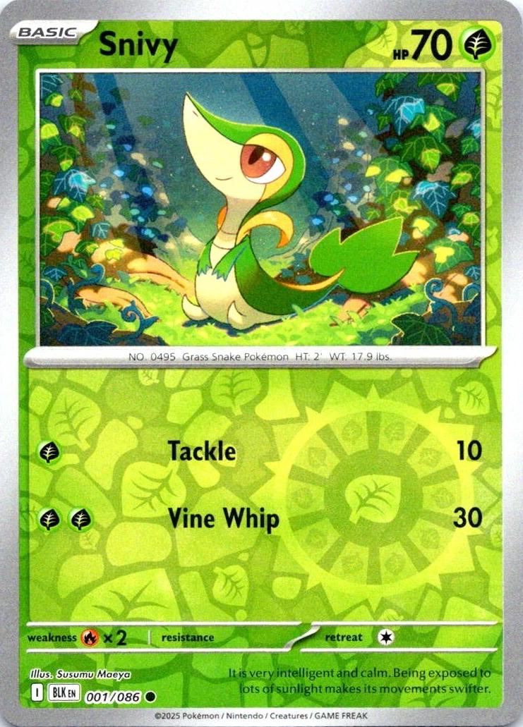 Black Bolt Snivy [Reverse] Pokémon card